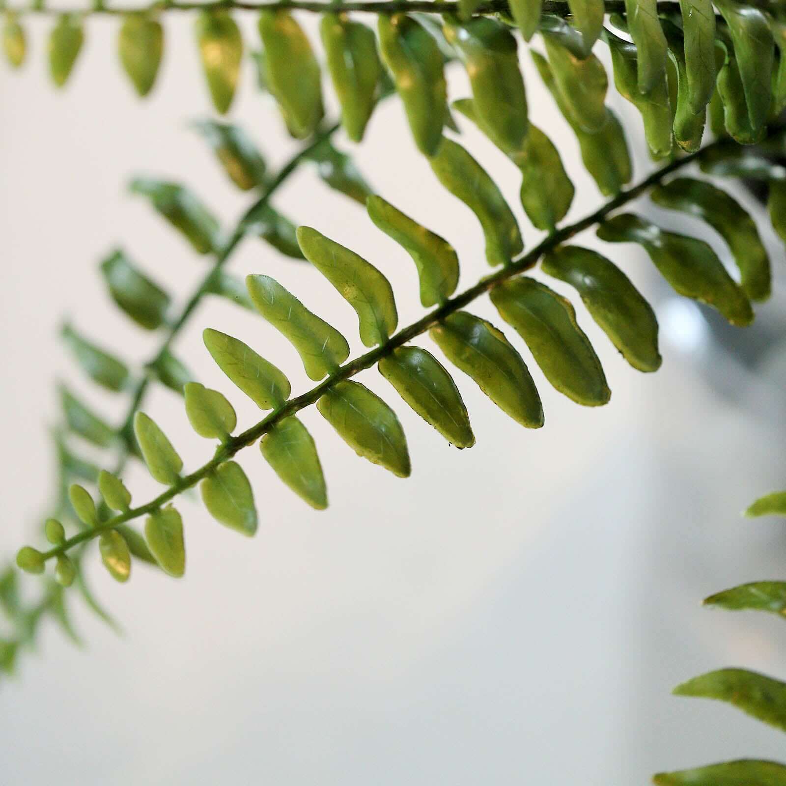 20" Artificial Boston Fern Green Leaf Plant, Premium Real Touch Indoor Spray