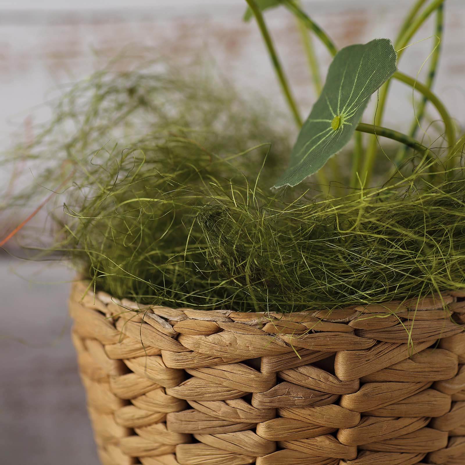 Natural Preserved Moss Grass DIY Gift Box Fillers Green - Craft Decoration Supplies 50g