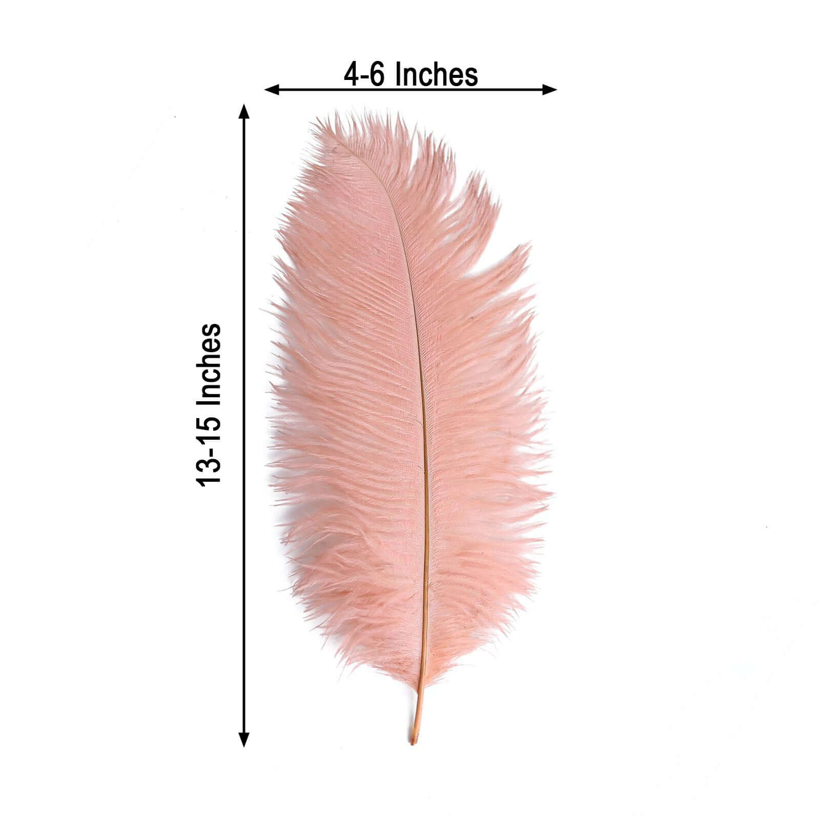 12 Pack 13"-15" Mauve Natural Plume Real Ostrich Feathers, DIY Centerpiece Fillers