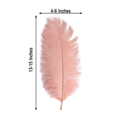 12 Pack 13"-15" Mauve Natural Plume Real Ostrich Feathers, DIY Centerpiece Fillers