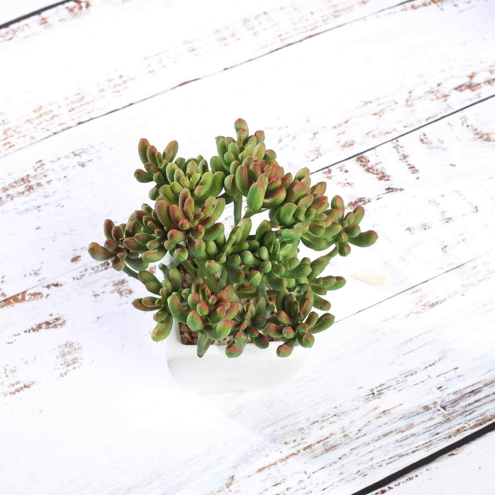 3-Pack Stonecrop Artificial Succulents in Ceramic Pots - Lifelike Decorative Faux Plants for Home Office & Event Design 7"