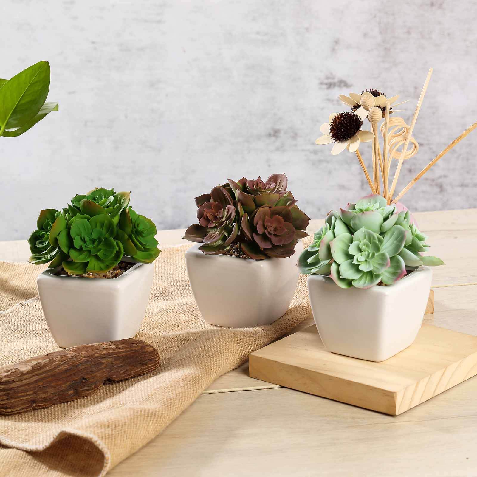 3-Pack Echeveria Elegans Artificial Succulents in Ceramic Pot - Lifelike Decorative Faux Plants for Home Office & Event Design 5"