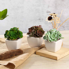 3-Pack Echeveria Elegans Artificial Succulents in Ceramic Pot - Lifelike Decorative Faux Plants for Home Office & Event Design 5"