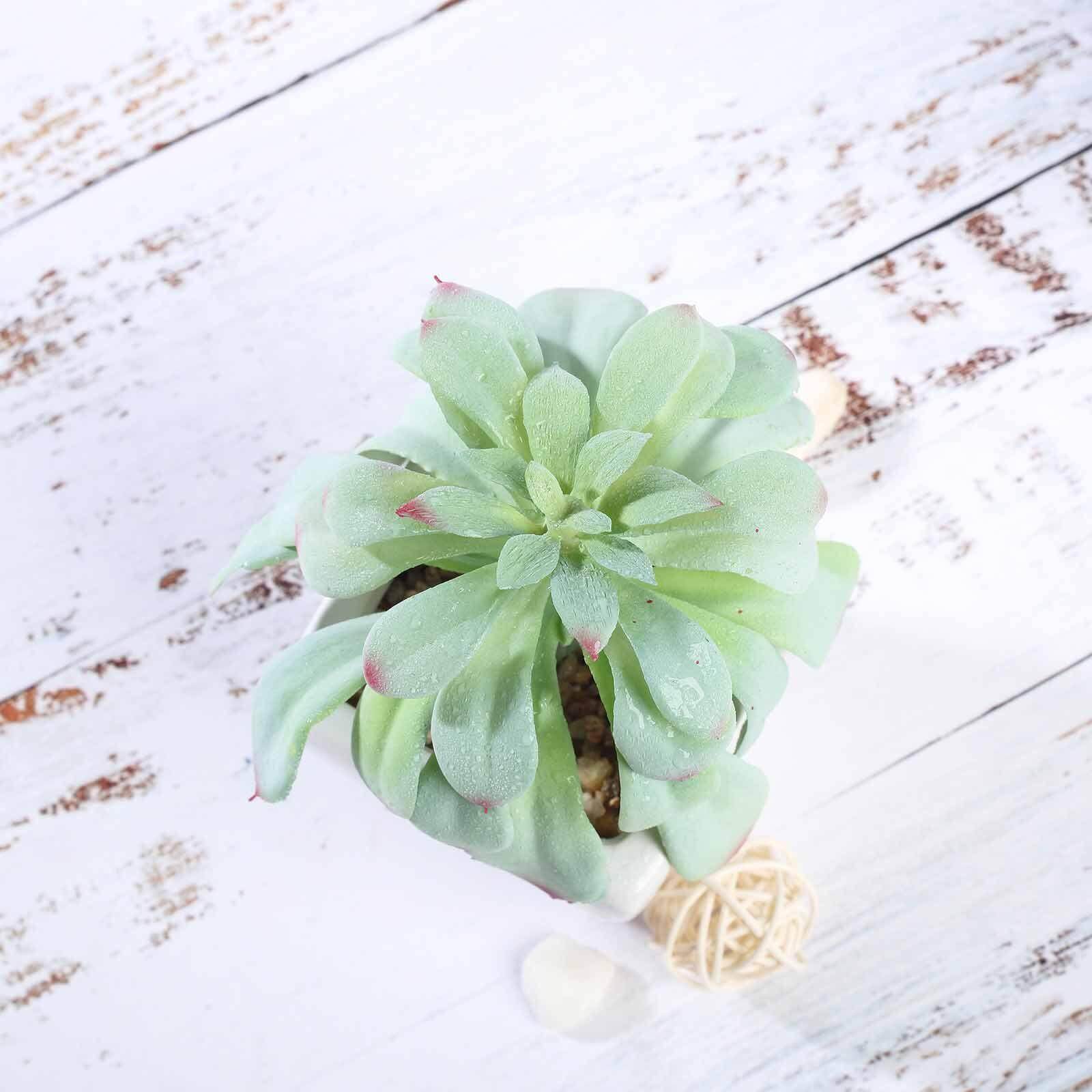 3-Pack Minibelle, Elegans & Grassneri Artificial Succulents in Ceramic Pot - Lifelike Decorative Faux Plants for Home Office & Event Design 5"
