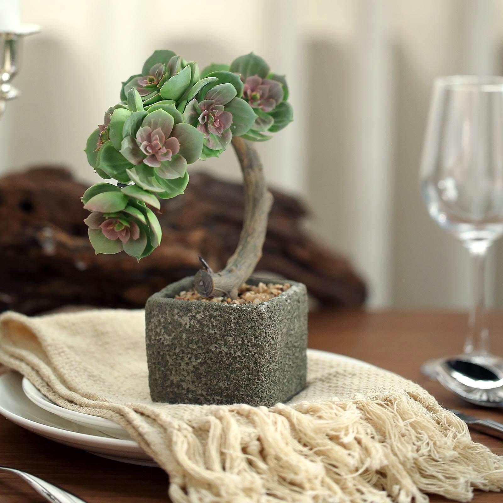 Perle Von Nurnberg Artificial Succulents in Concrete Pot - Lifelike Decorative Faux Plants for Home Office & Event Design 8"