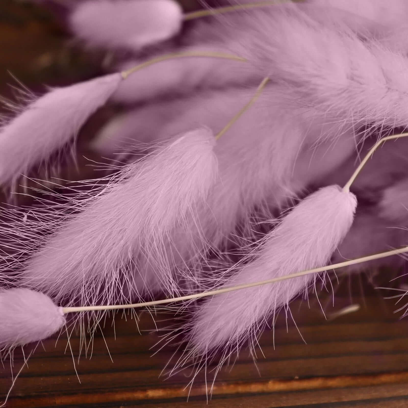 50-Pack Dried Bunny Tail Grass Lavender Lilac - Rustic Chic Lagurus Ovatus Rabbit Tail Ornamental Grass for Modern Farmhouse Decor Event Styling & Floral Displays 15"