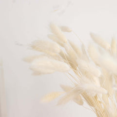 50-Pack Dried Bunny Tail Grass Natural White - Rustic Chic Lagurus Ovatus Rabbit Tail Ornamental Grass for Modern Farmhouse Decor Event Styling & Floral Displays 15"