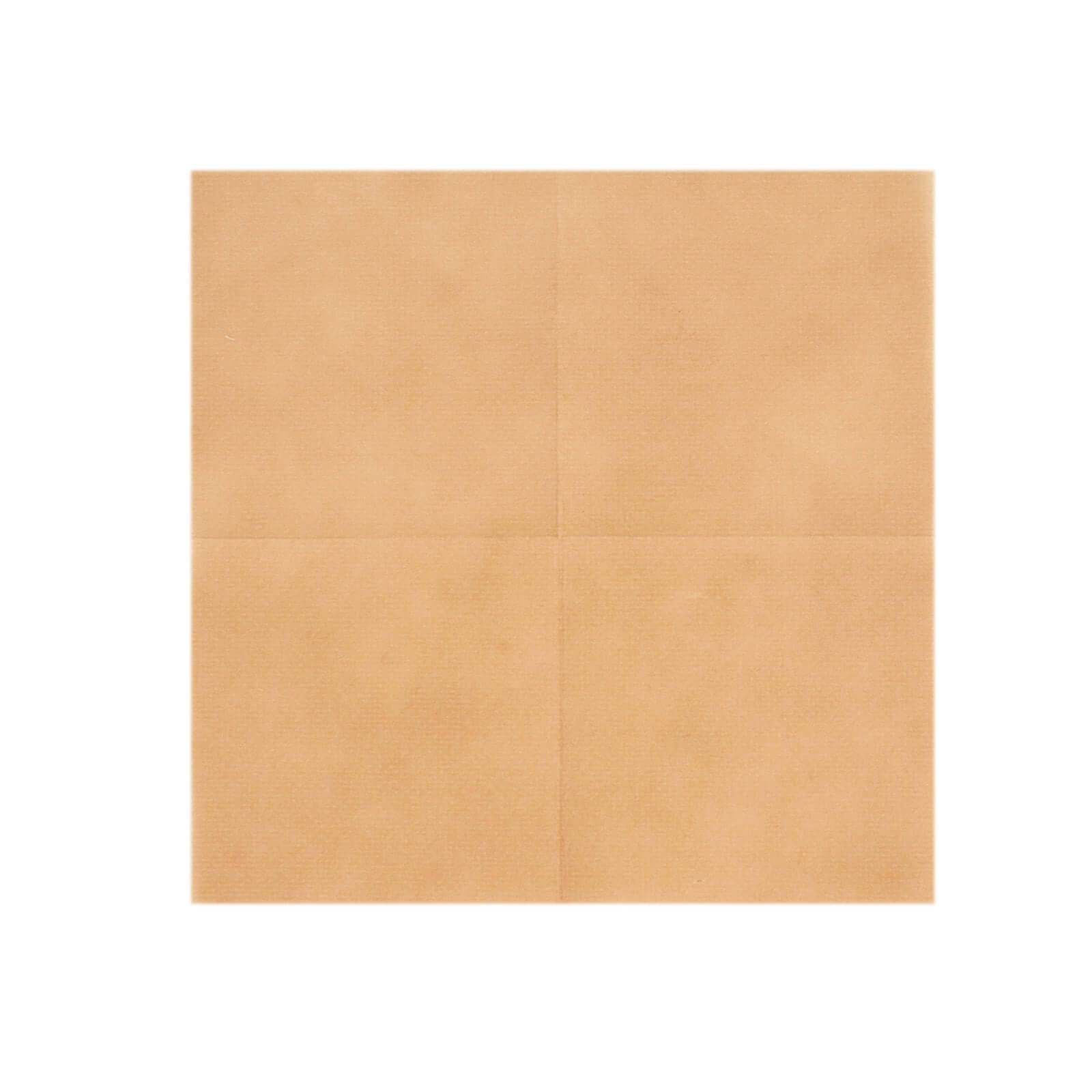 20-Pack Paper Linen-Like Cocktail Napkins Terracotta (Rust) - Disposable 5"x5" Airlaid Soft Napkins