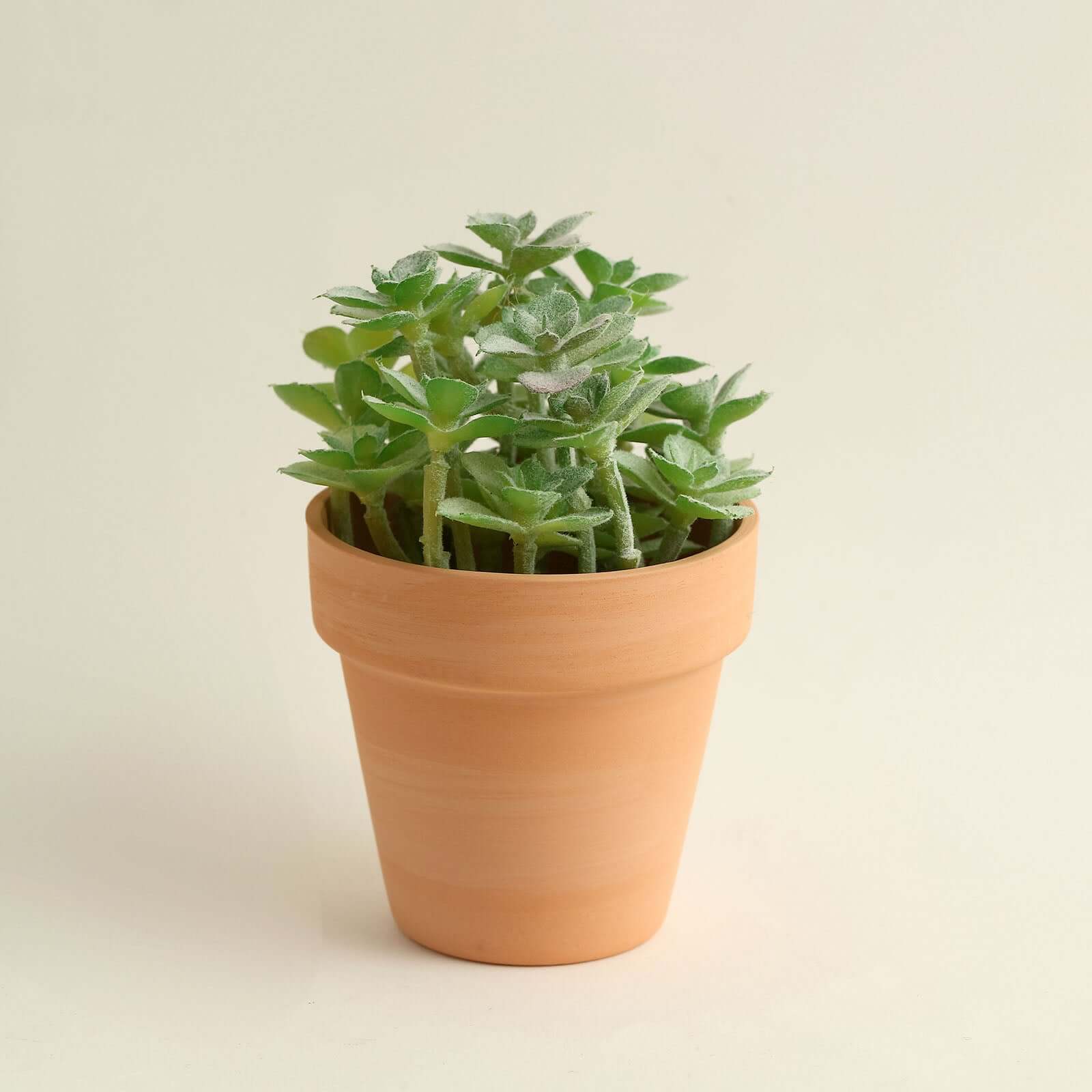 24-Pack Favor Buckets Mini Terracotta Pots Rust Design - Ceramic Clay Planters for Succulents and Cactus 2.5"