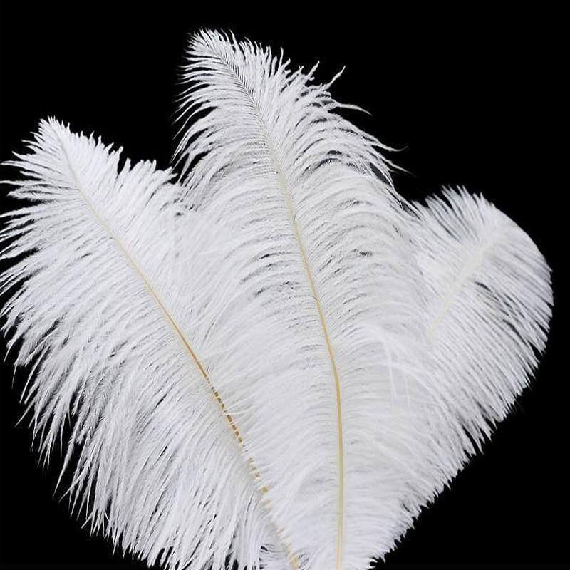 12 Pack 13"-15" White Natural Plume Real Ostrich Feathers, DIY Centerpiece Fillers