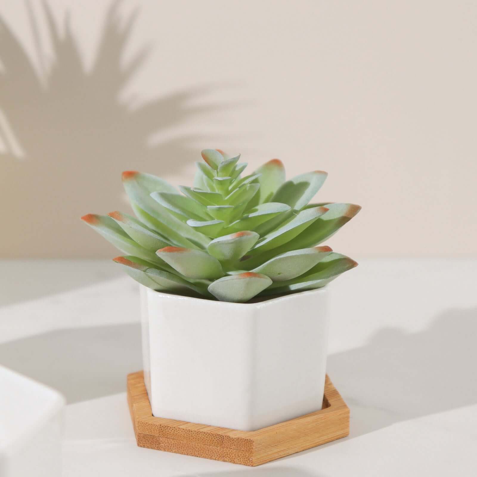 6-Pack Planter Pots Geometric Hexagon Design White - Ceramic Pots with Bamboo Tray and Removable Bottom 3"