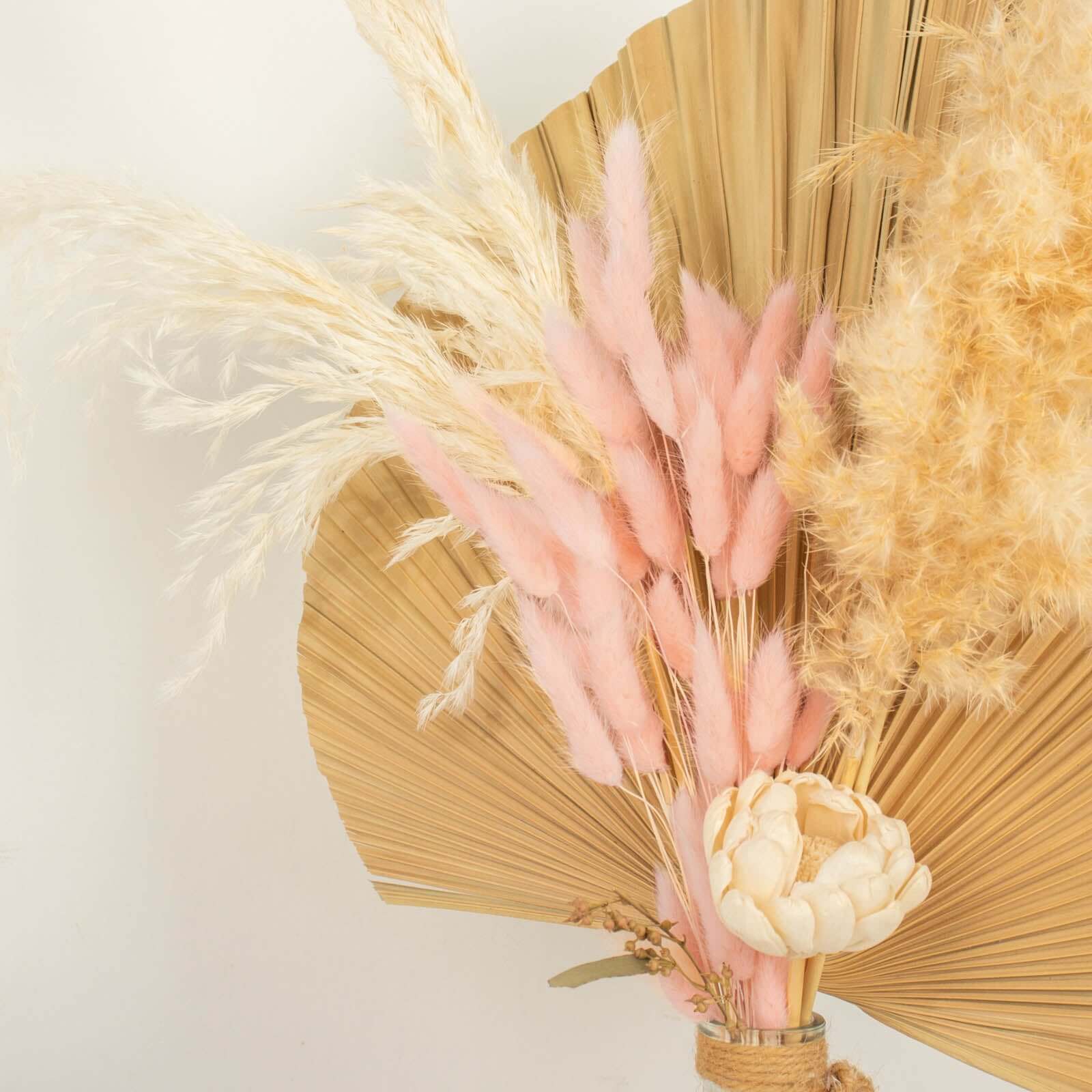 50-Pack Dried Bunny Tail Grass Blush - Rustic Chic Lagurus Ovatus Rabbit Tail Ornamental Grass for Modern Farmhouse Decor Event Styling & Floral Displays 15"