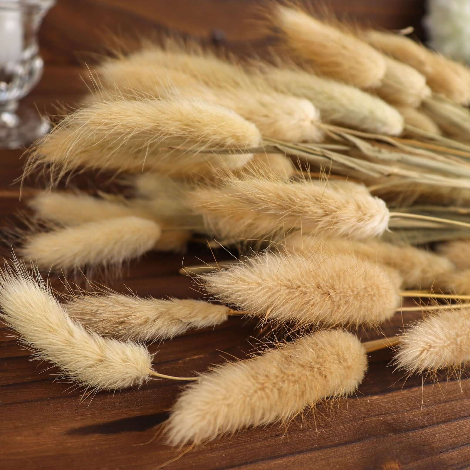 50-Pack Dried Bunny Tail Grass Natural - Rustic Chic Lagurus Ovatus Rabbit Tail Ornamental Grass for Modern Farmhouse Decor Event Styling & Floral Displays 15"