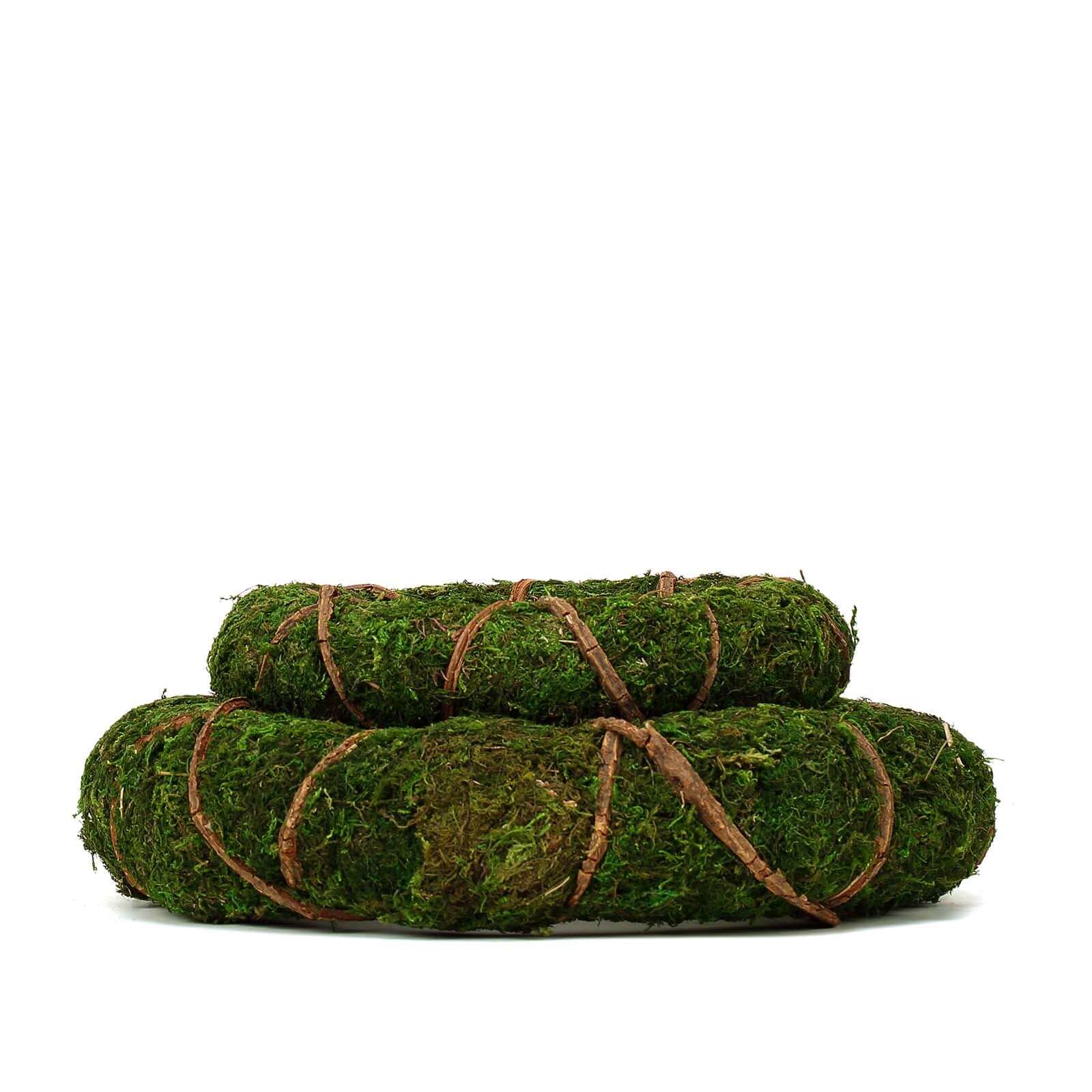 2 Pack 14" Green Natural Preserved Moss Wreaths With Twine Twig Wrap