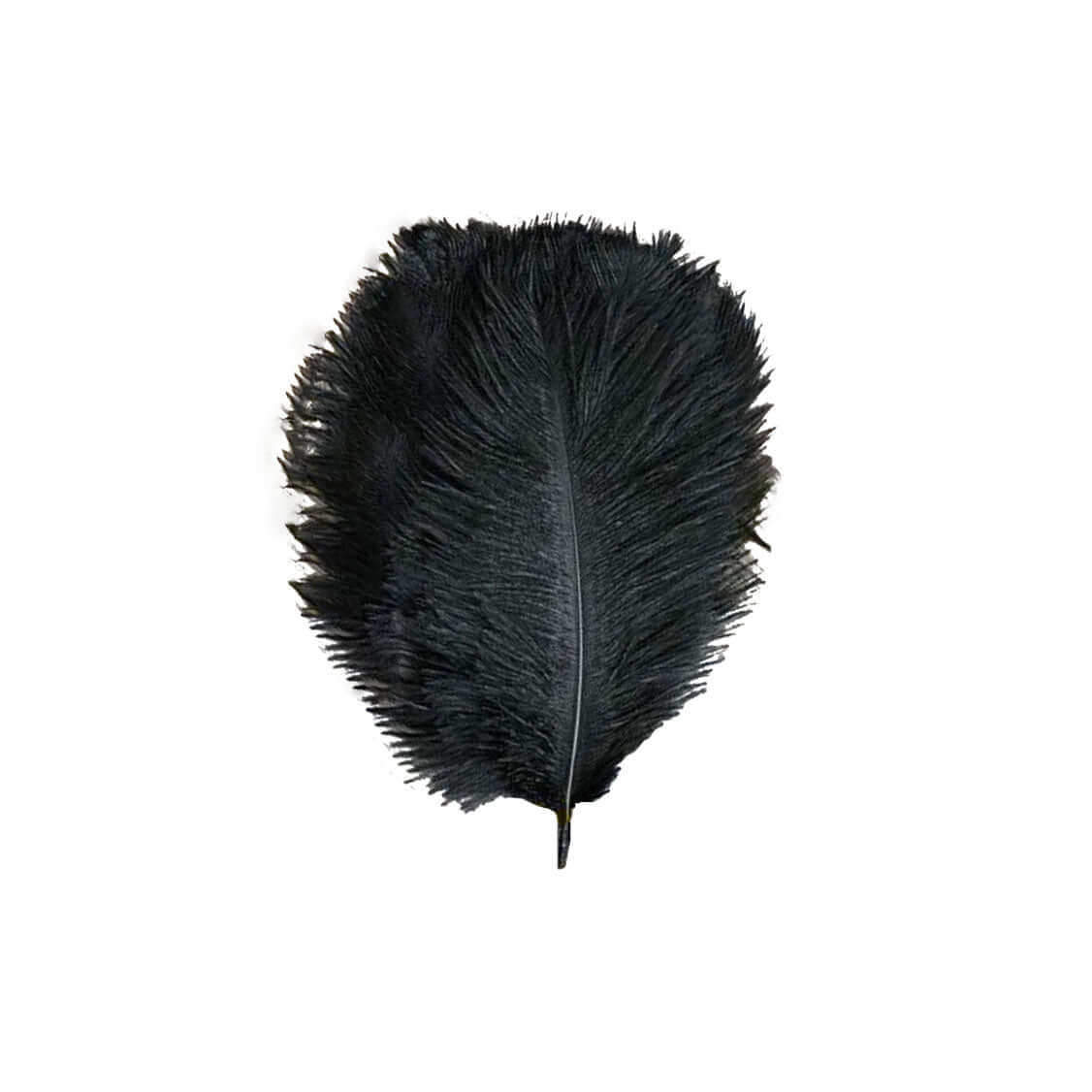 12 Pack 13"-15" Black Natural Plume Real Ostrich Feathers, DIY Centerpiece Fillers