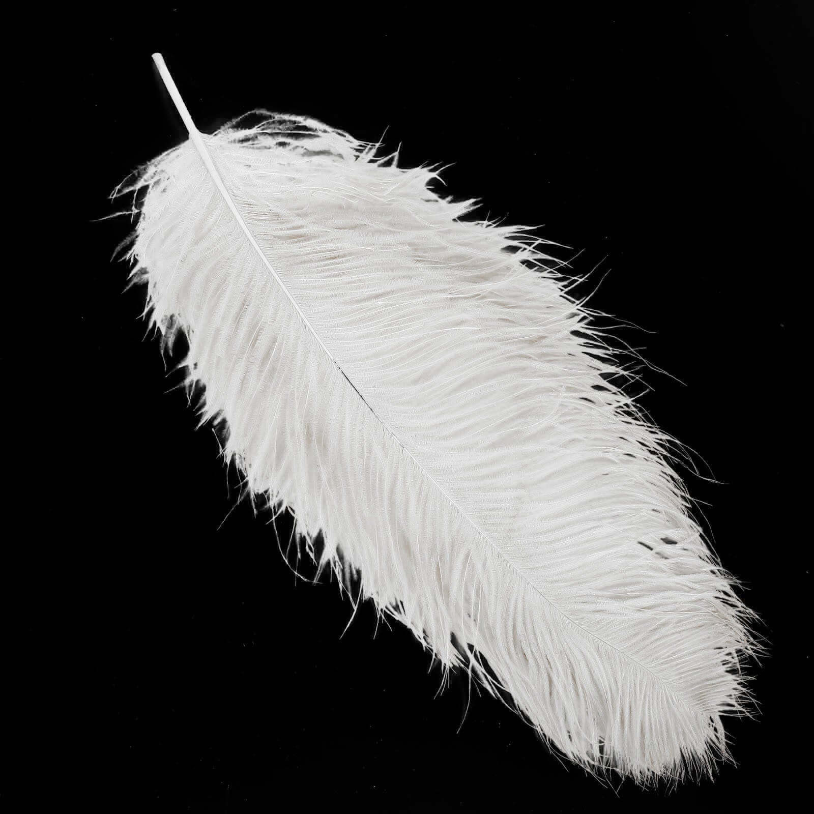12 Pack White Natural Plume Ostrich Feathers Centerpiece Filler - 24"-26"
