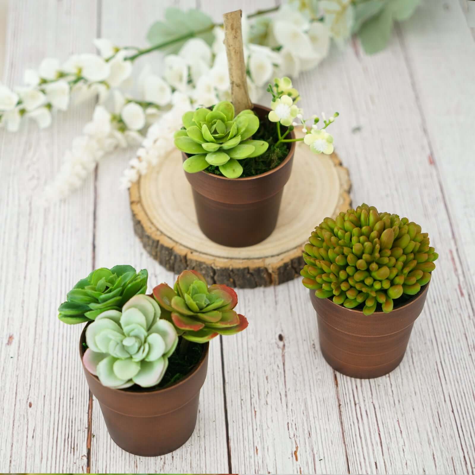 3-Pack Flower Plant Pots Small Design Rustic Brown - Plastic Indoor Decorative Planters 3"