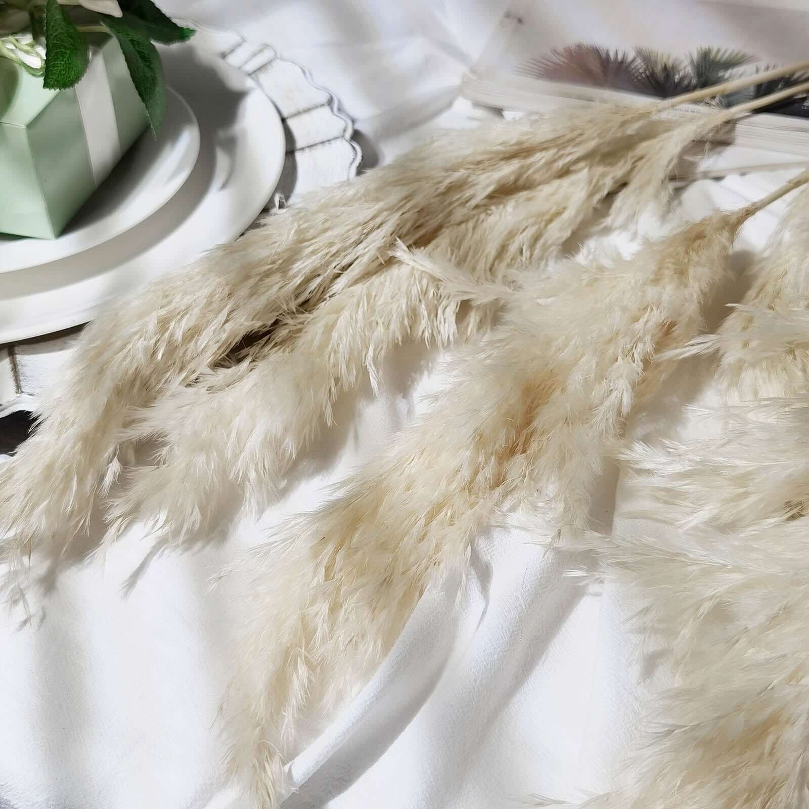 6 Stems Natural Dried Pampas Grass Decor Off White Tint - Versatile Plant Sprays for Boho Chic Vase Displays Backdrops & Event Styling 32"