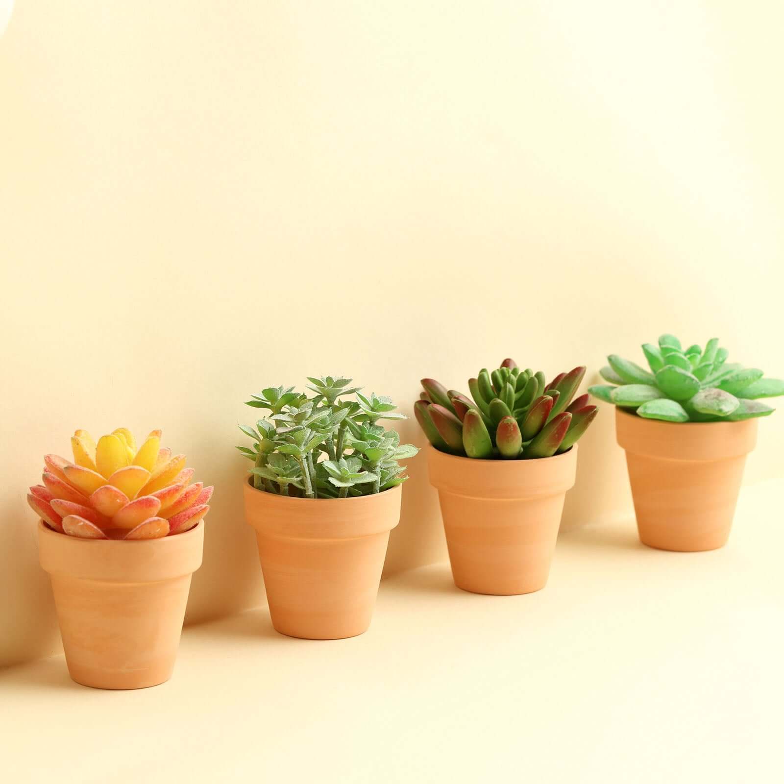 24-Pack Favor Buckets Mini Terracotta Pots Rust Design - Ceramic Clay Planters for Succulents and Cactus 2.5"