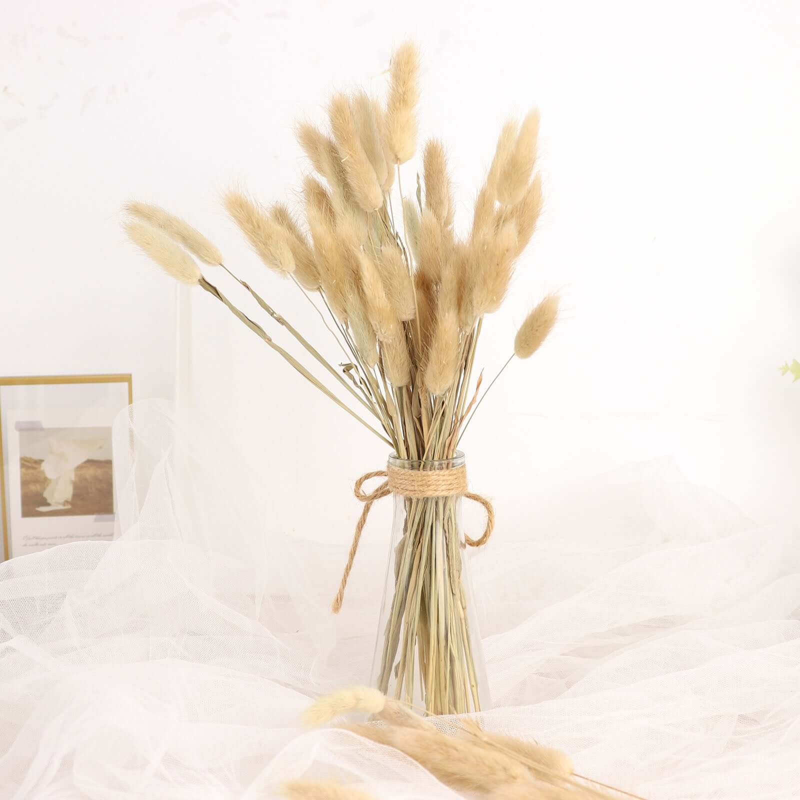 50-Pack Dried Bunny Tail Grass Natural - Rustic Chic Lagurus Ovatus Rabbit Tail Ornamental Grass for Modern Farmhouse Decor Event Styling & Floral Displays 15"