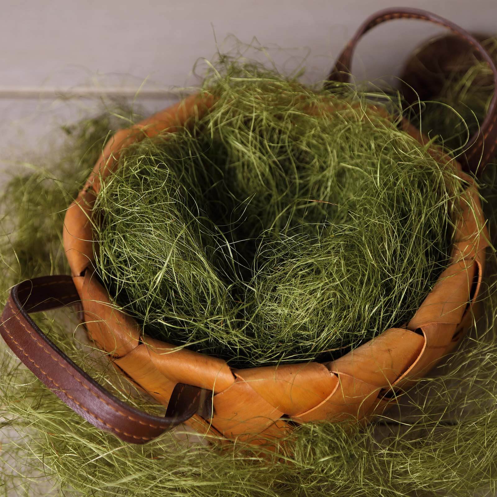 Natural Preserved Moss Grass DIY Gift Box Fillers Green - Craft Decoration Supplies 50g