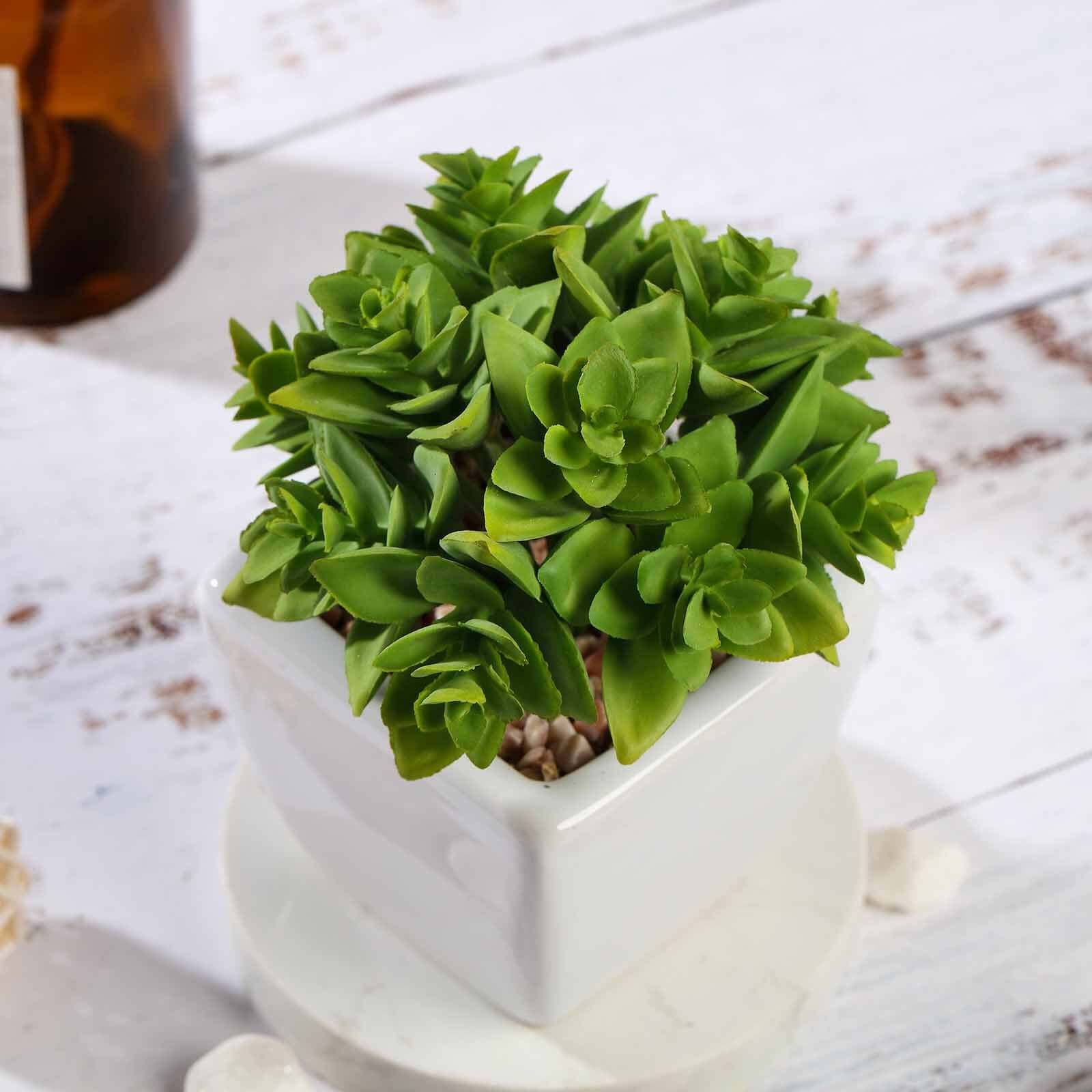 3-Pack Echeveria Artificial Succulents in Ceramic Pot Green - Lifelike Decorative Faux Plants for Home Office & Event Design 4"