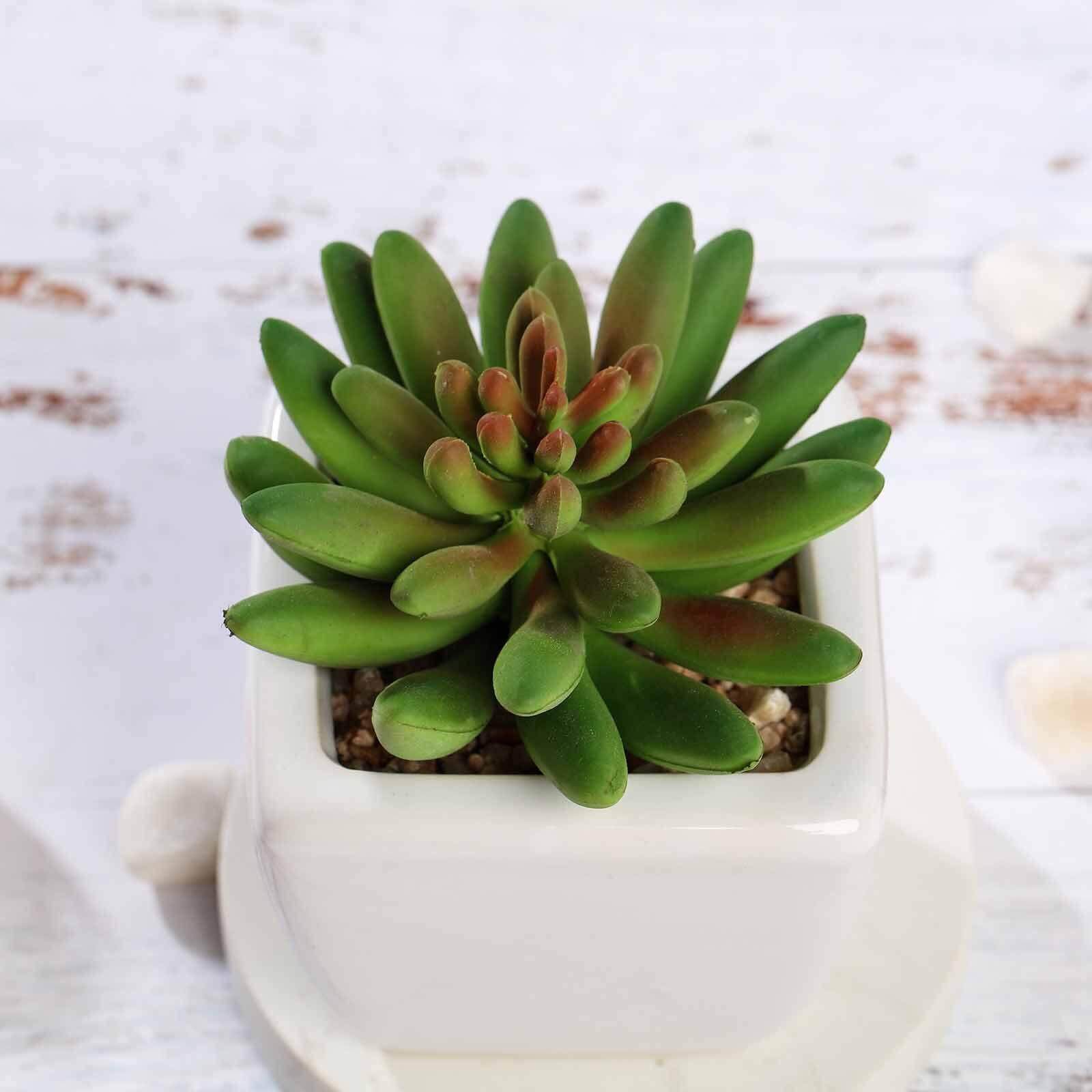 3-Pack Lotus Artificial Succulents in Ceramic Pot - Lifelike Decorative Faux Plants for Home Office & Event Design 4"