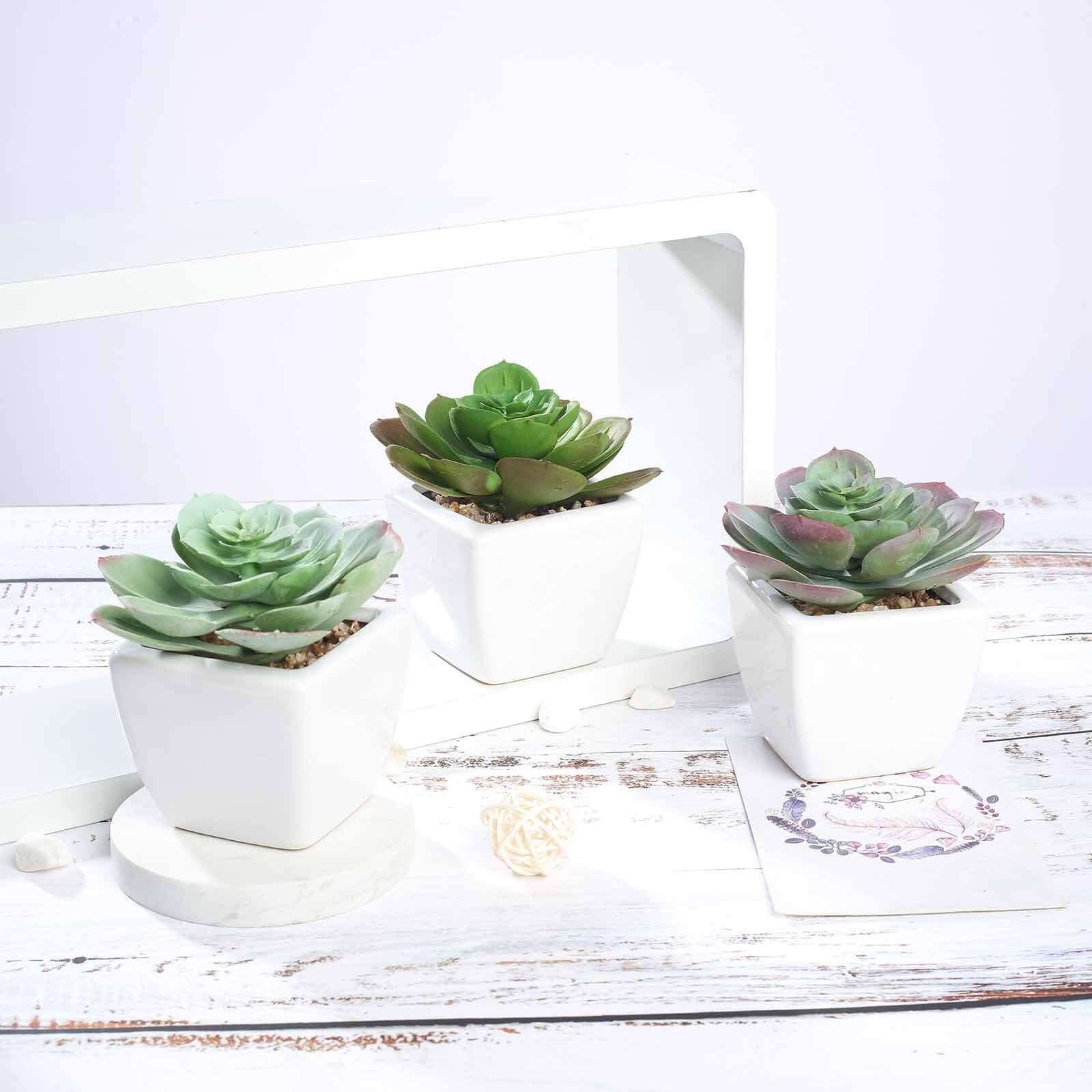 3-Pack Echeveria Artificial Succulents in Ceramic Pot - Lifelike Decorative Faux Plants for Home Office & Event Design 4"