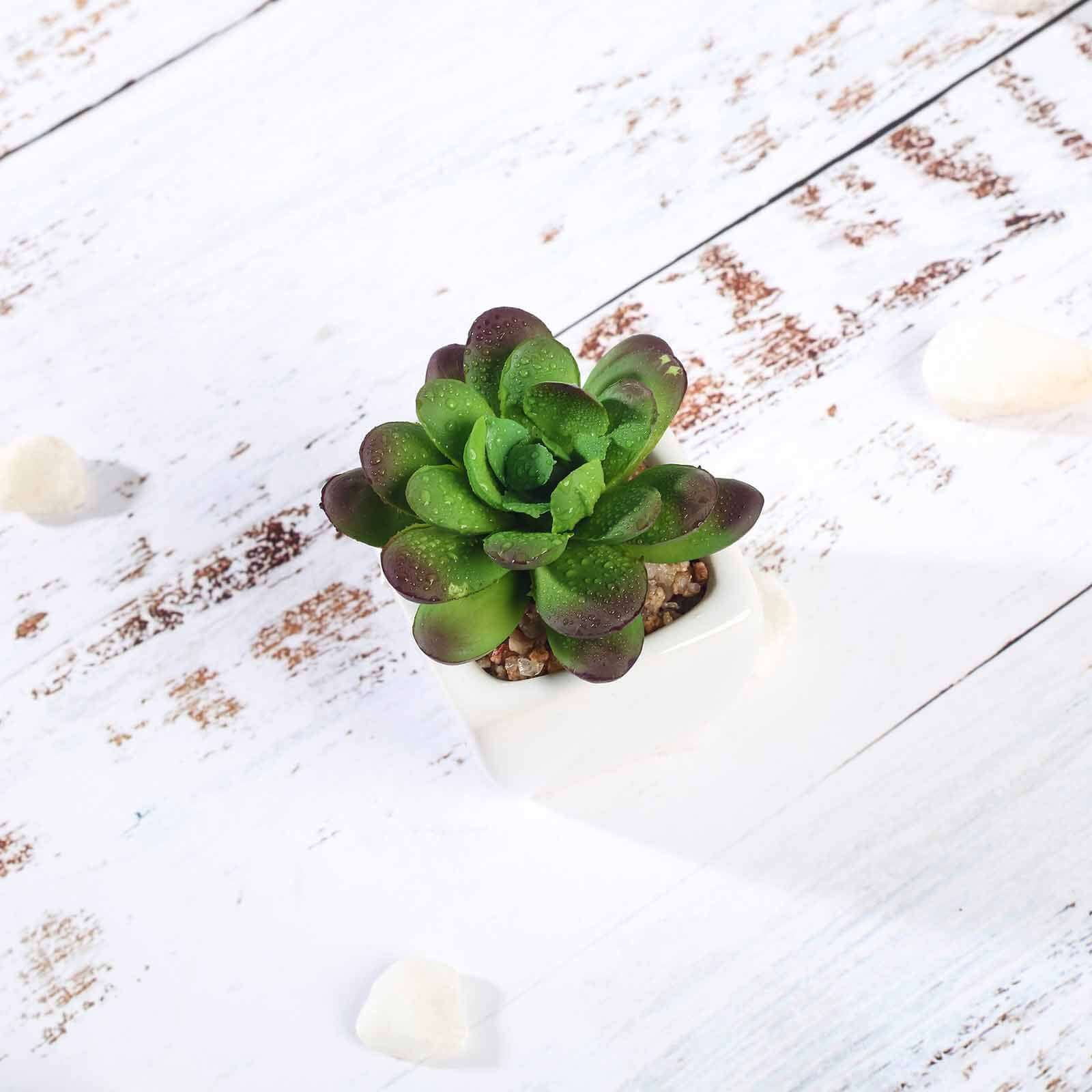 3-Pack Echeveria Elegans Artificial Succulents in Ceramic Pot - Lifelike Decorative Faux Plants for Home Office & Event Design 3"
