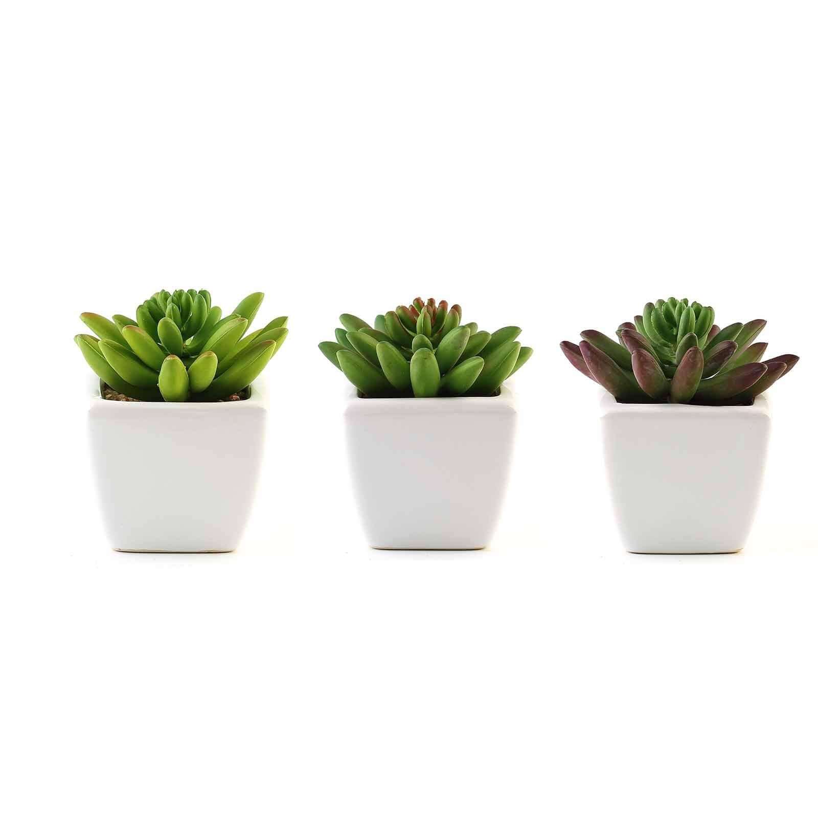 3-Pack Lotus Artificial Succulents in Ceramic Pot - Lifelike Decorative Faux Plants for Home Office & Event Design 4"