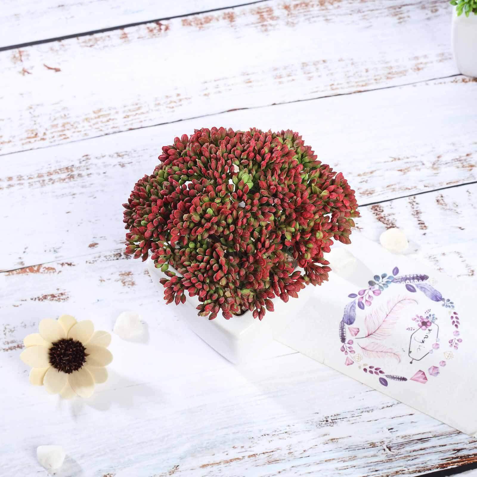 3-Pack Joy Sedum Artificial Succulents in Ceramic Pots - Lifelike Decorative Faux Plants for Home Office & Event Design 6"