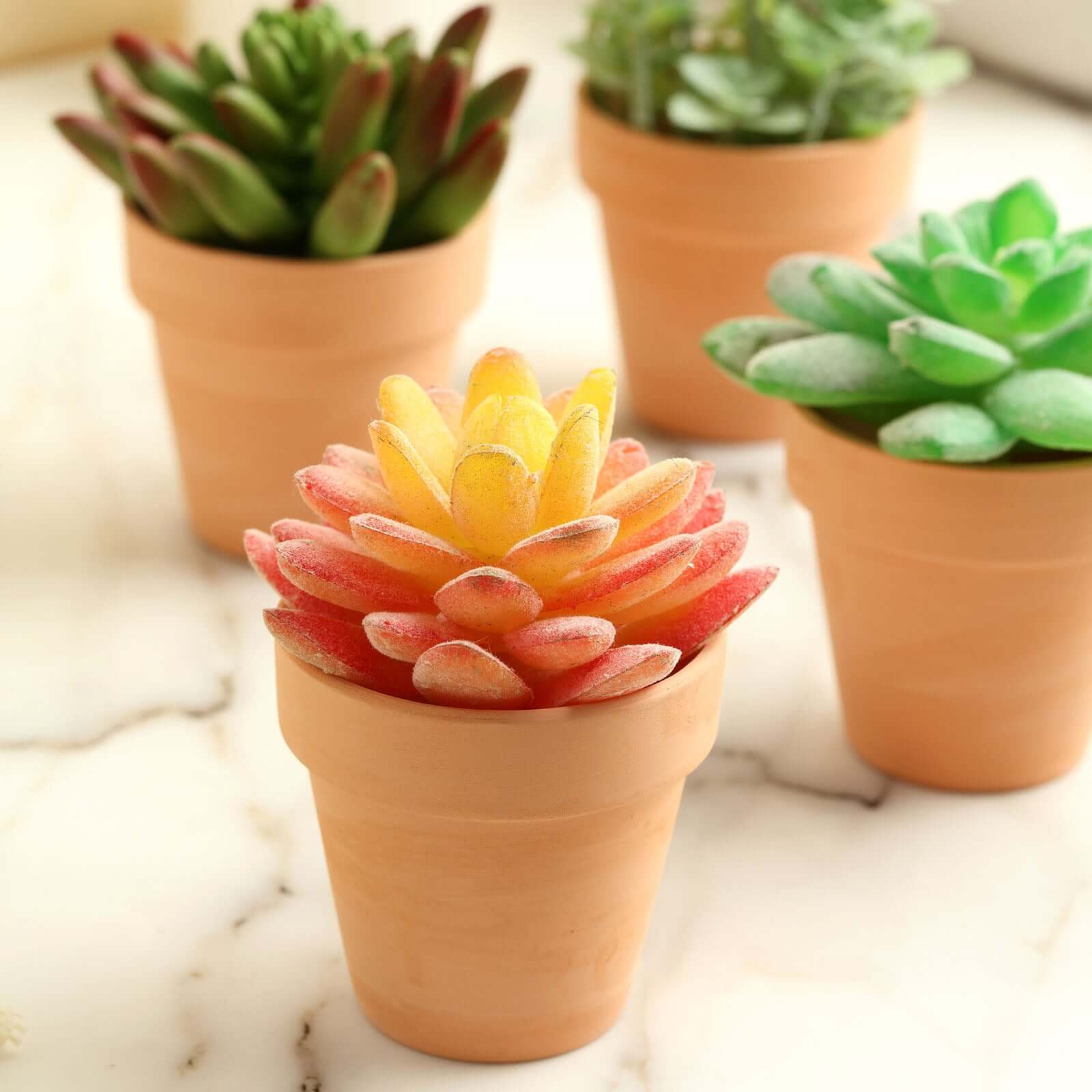 24-Pack Favor Buckets Mini Terracotta Pots Rust Design - Ceramic Clay Planters for Succulents and Cactus 2.5"