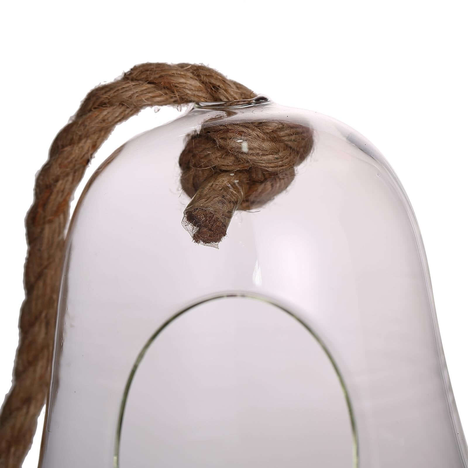 Glass Terrarium Hanging Bell Shaped Design with Twine Rope - Unique Free-Falling Planter for Air Plants & Displays 9"