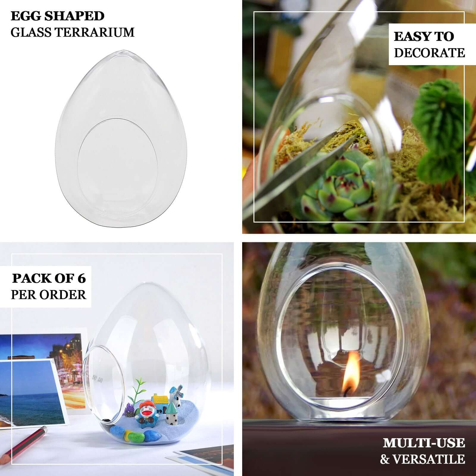 6-Pack Glass Terrarium Self-Standing Egg Shaped Design - Modern Planter for Air Plants & Displays 5"