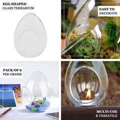 6-Pack Glass Terrarium Self-Standing Egg Shaped Design - Modern Planter for Air Plants & Displays 5"