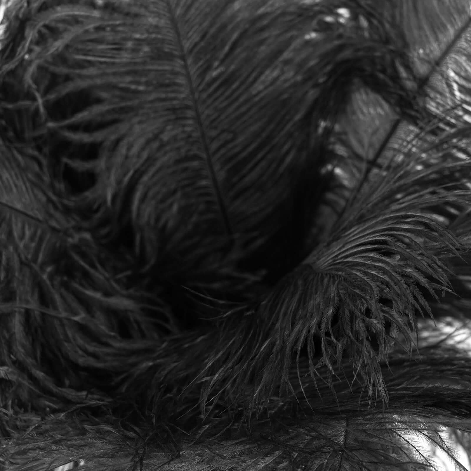 12 Pack 13"-15" Black Natural Plume Real Ostrich Feathers, DIY Centerpiece Fillers