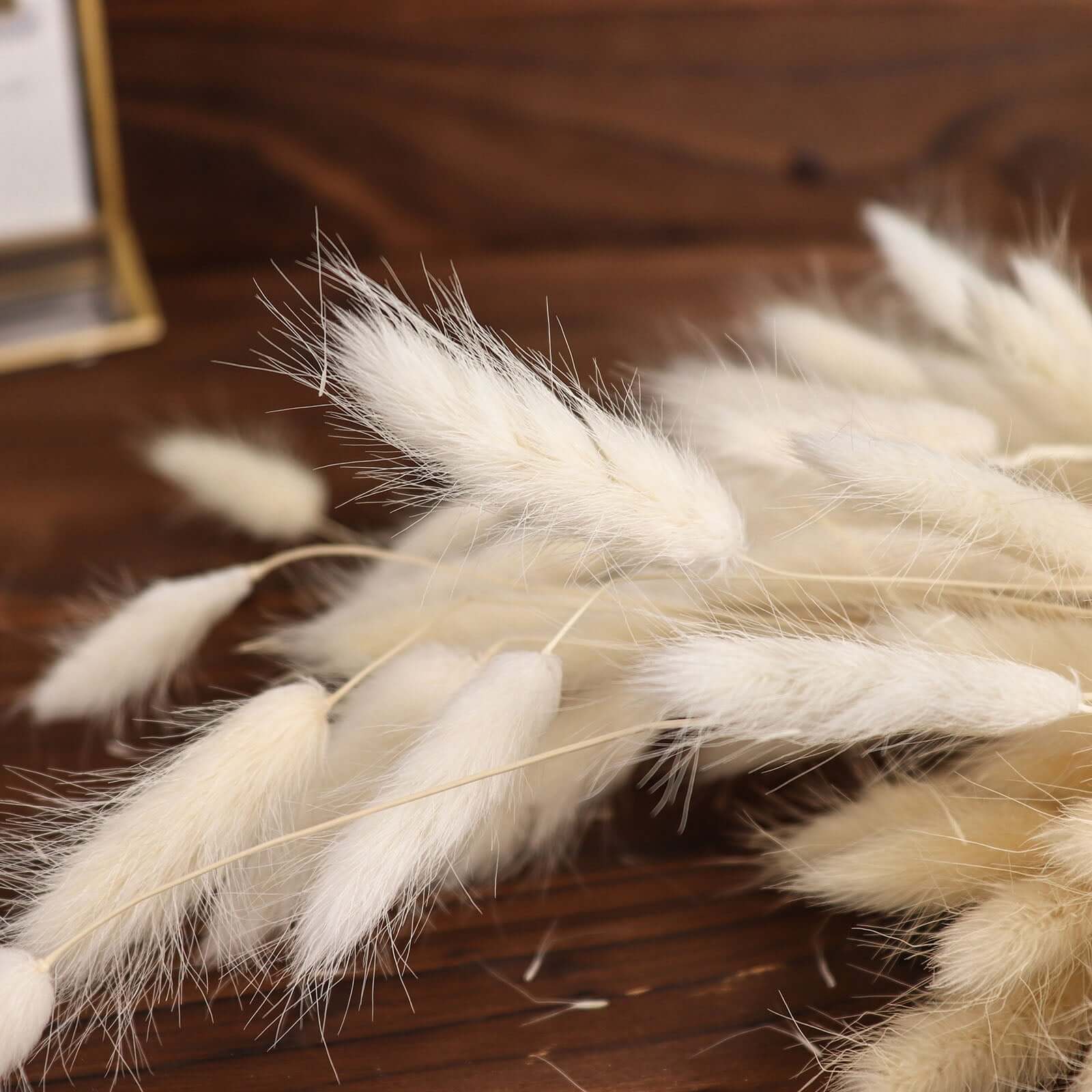50-Pack Dried Bunny Tail Grass Natural White - Rustic Chic Lagurus Ovatus Rabbit Tail Ornamental Grass for Modern Farmhouse Decor Event Styling & Floral Displays 15"