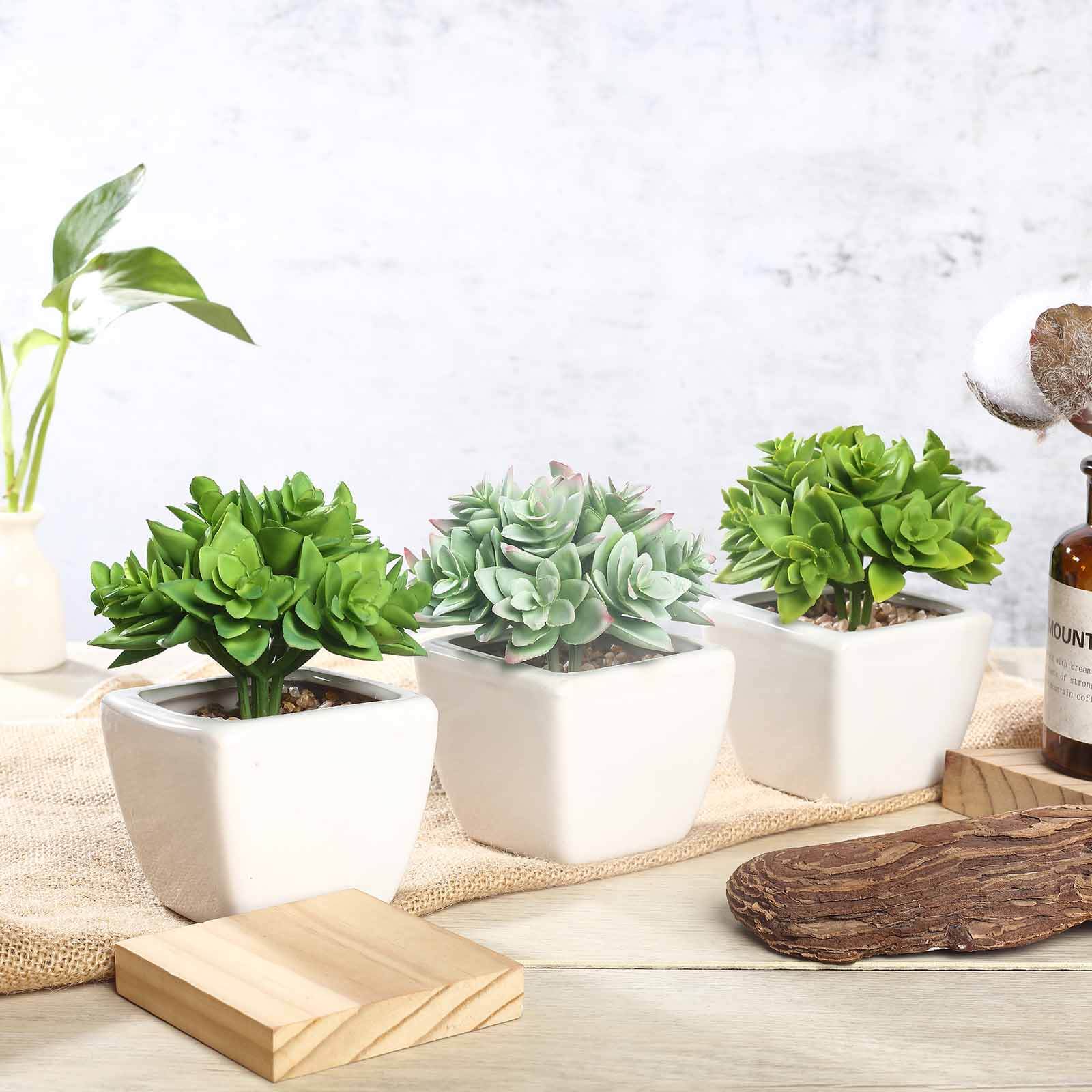 3-Pack Echeveria Artificial Succulents in Ceramic Pot Green - Lifelike Decorative Faux Plants for Home Office & Event Design 4"