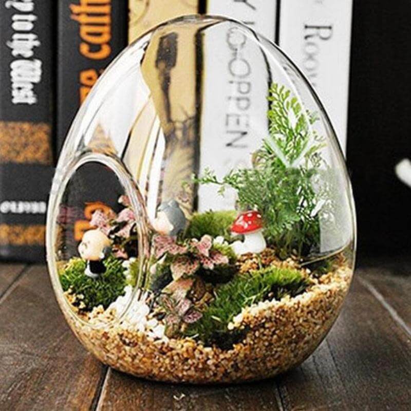 6-Pack Glass Terrarium Self-Standing Egg Shaped Design - Modern Planter for Air Plants & Displays 5"