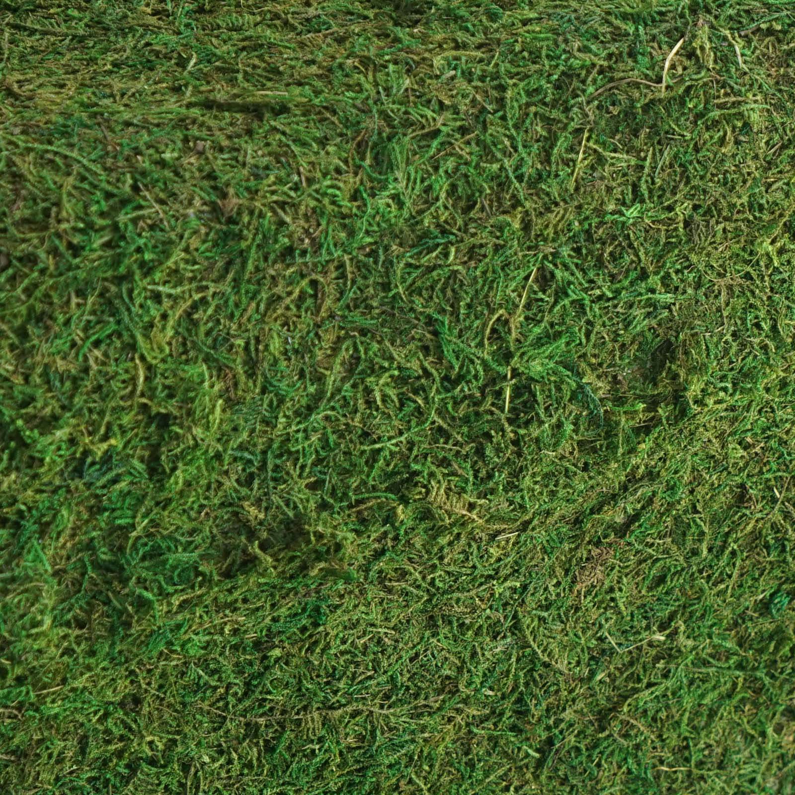 Moss 14"x48" Table Runner Green - Natural Preserved Design with Fishnet Grid for Unique Events