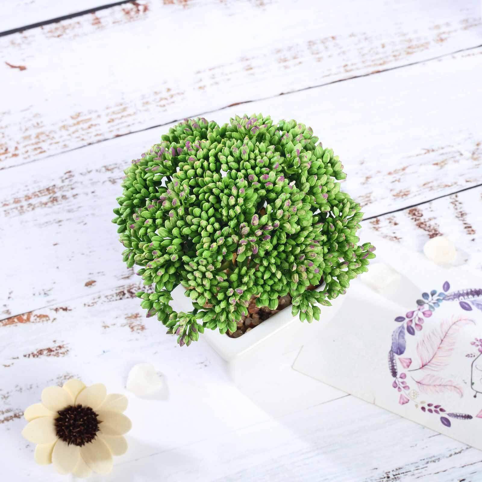 3-Pack Joy Sedum Artificial Succulents in Ceramic Pots - Lifelike Decorative Faux Plants for Home Office & Event Design 6"