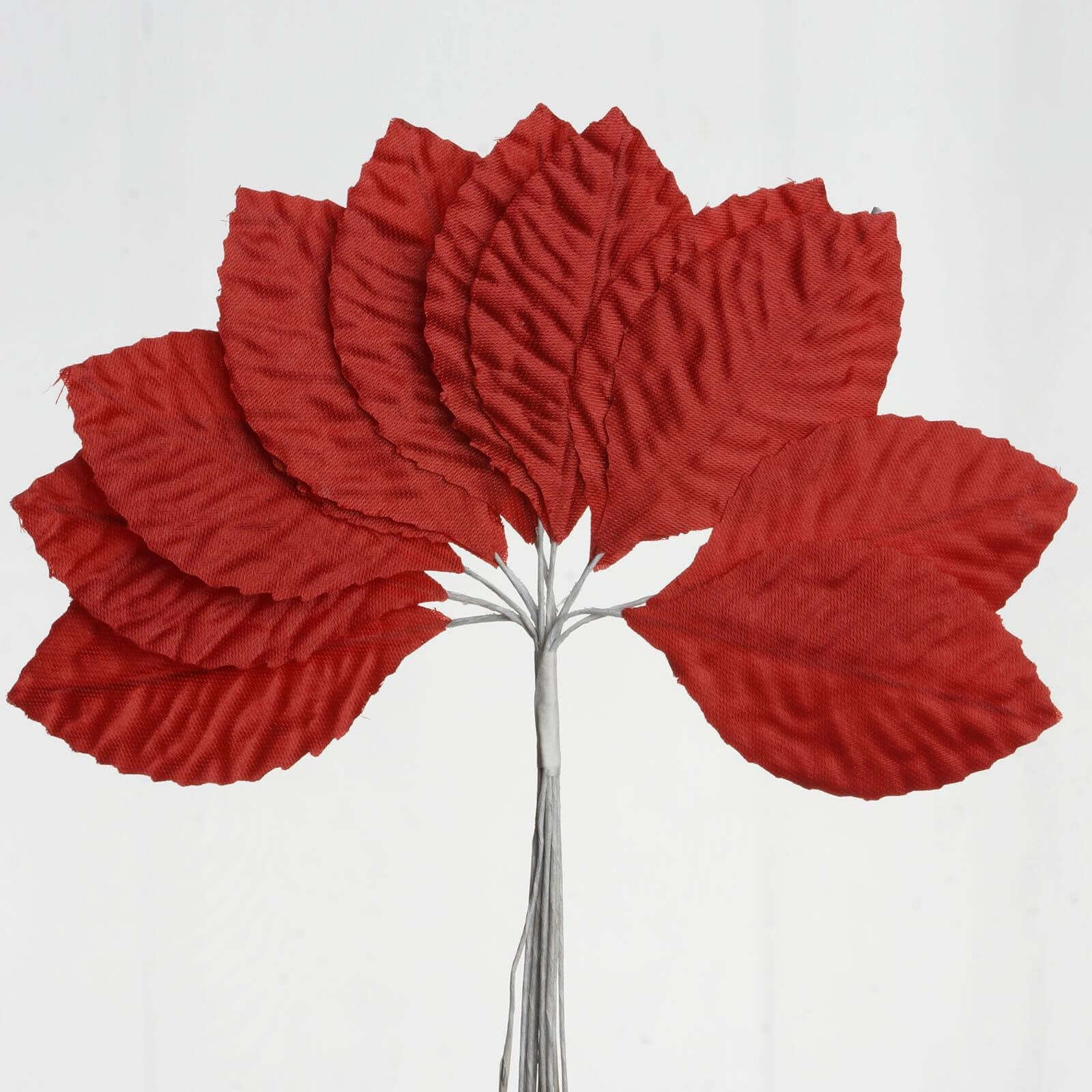 144 Red Burning Passion Leaves
