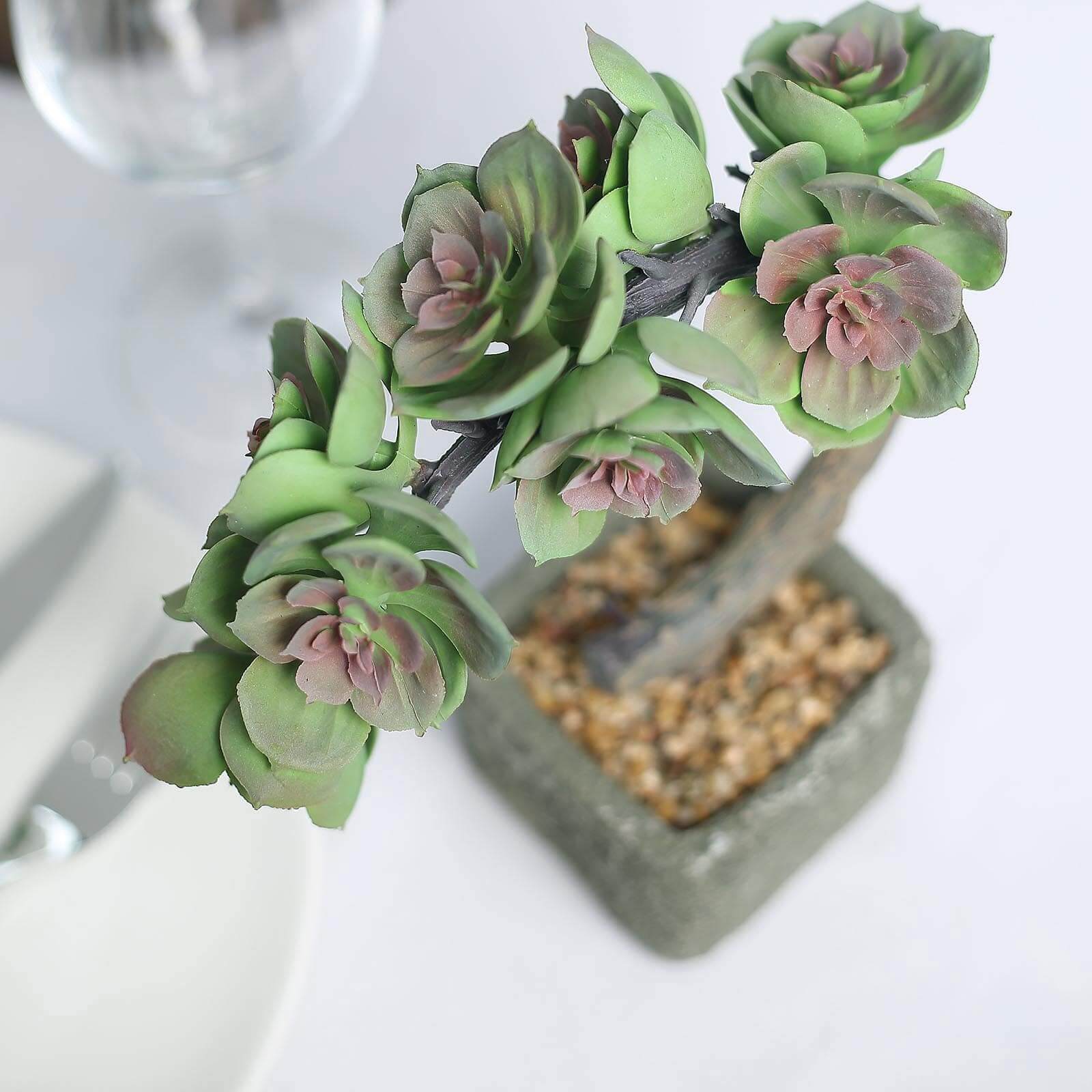 Perle Von Nurnberg Artificial Succulents in Concrete Pot - Lifelike Decorative Faux Plants for Home Office & Event Design 8"