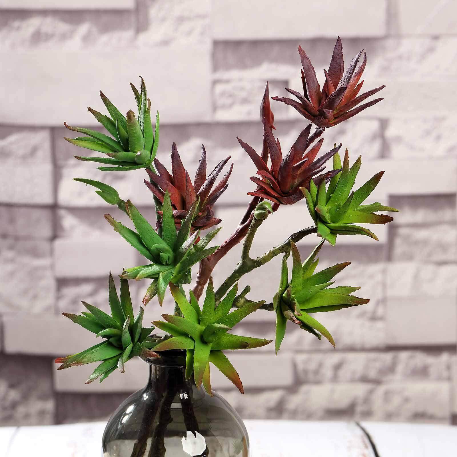 3 Pack 13" Assorted Artificial Yucca Aloe Vera Succulent Air Plants