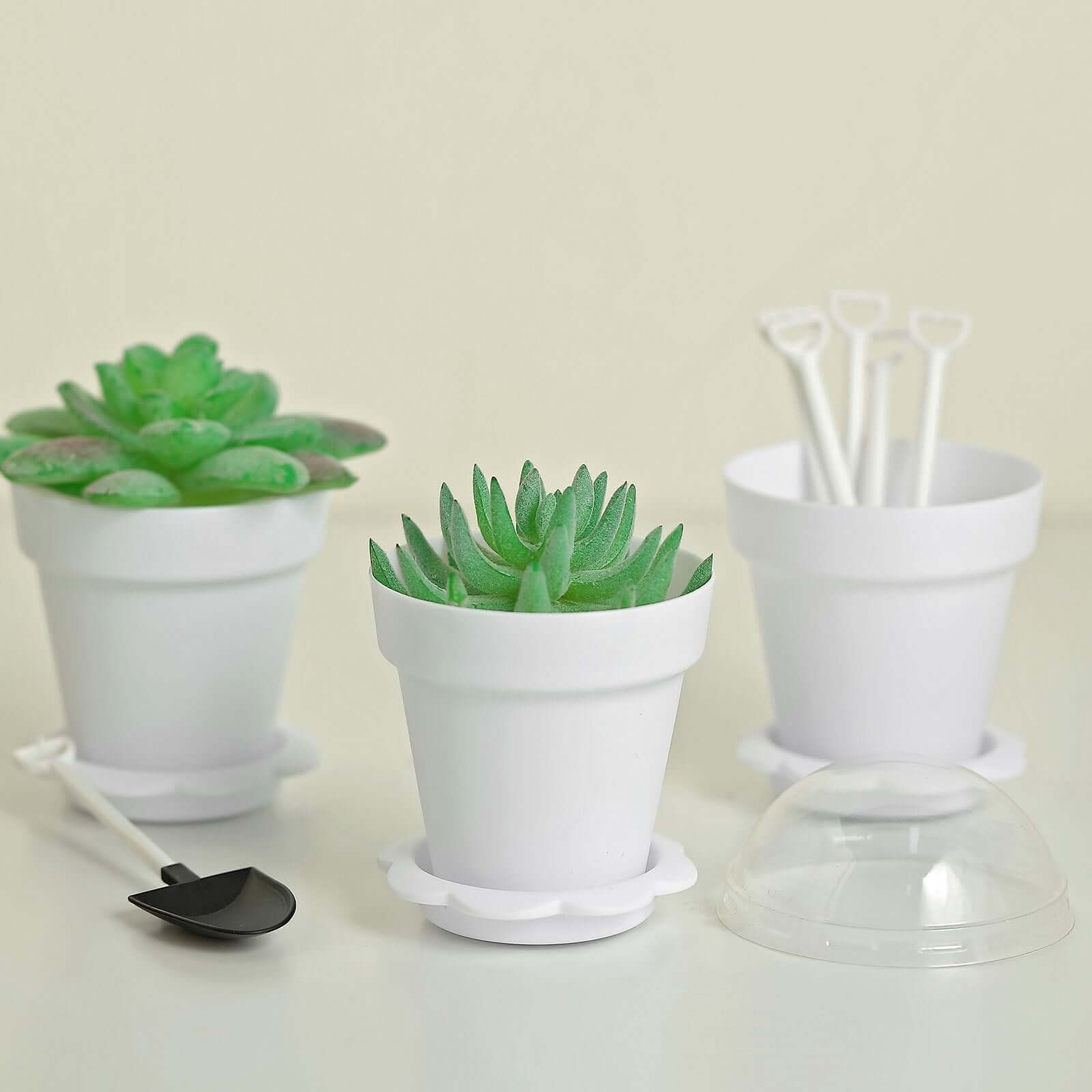 12-Pack Dessert Cups Succulent Planter Design White - Plastic Serving Cups with Lids and Shovels 4"