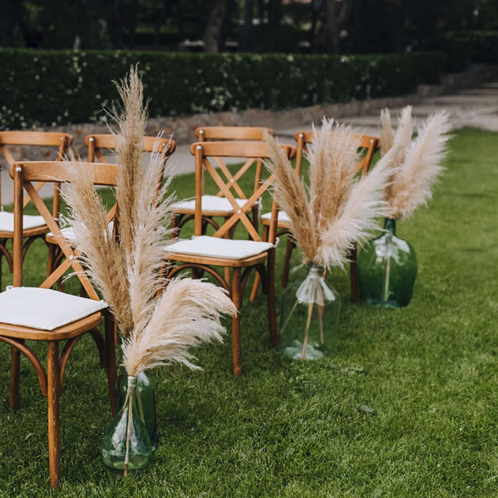6 Stems Natural Dried Pampas Grass Decor Wheat Tint - Versatile Plant Sprays for Boho Chic Vase Displays Backdrops & Event Styling 32"