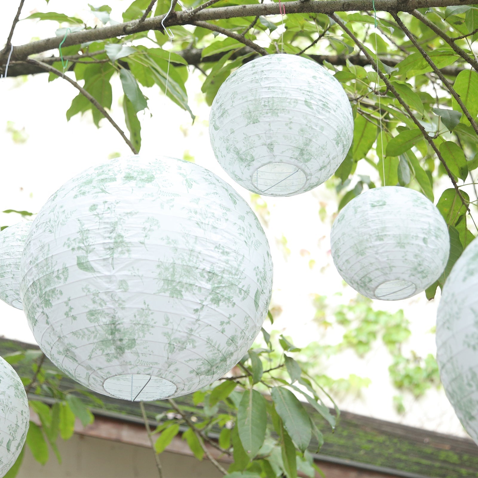 Set of 8 White Sage Green Hanging Chinese Lanterns in French Toile Floral Pattern, Festival Paper Lanterns - 6",8",10",14"